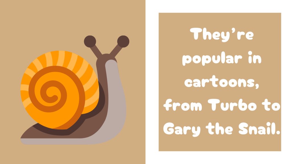 They’re popular in cartoons, from Turbo to Gary the Snail.