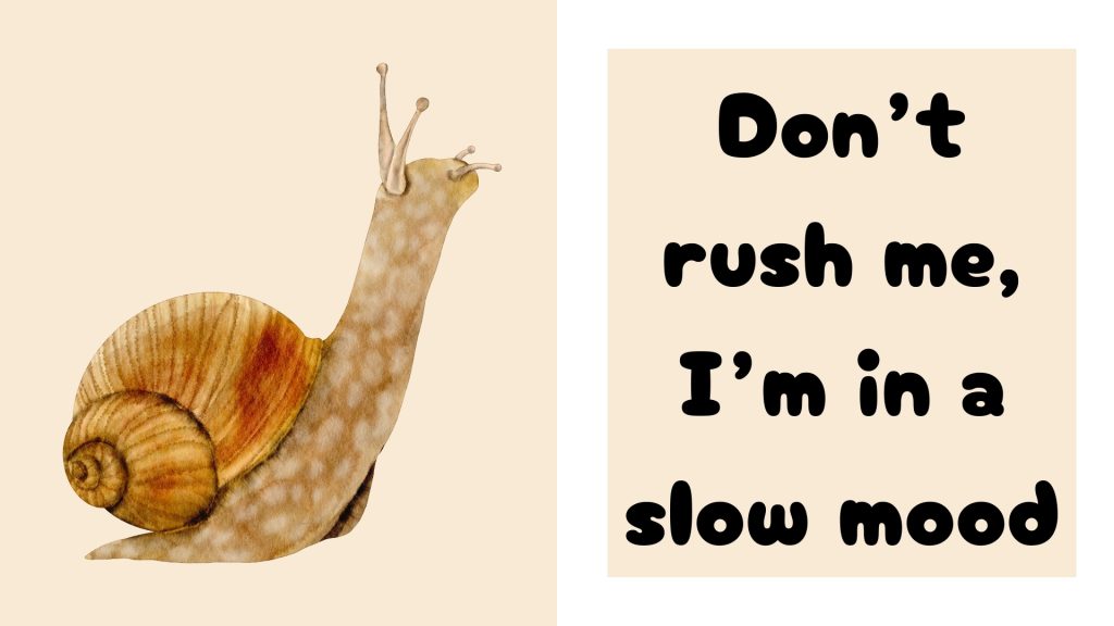 Don’t rush me, I’m in a slow mood