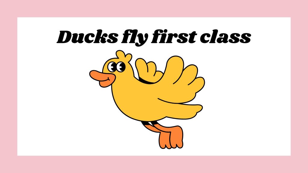 Ducks fly first class