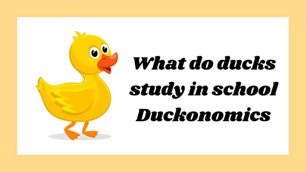 What do ducks study in school Duckonomics