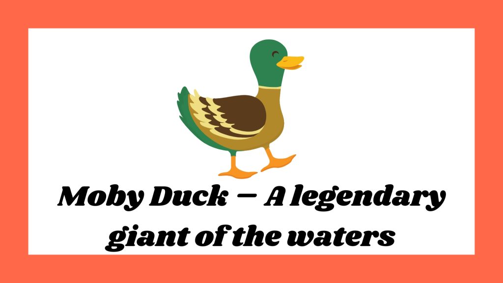 Moby Duck – A legendary giant of the waters