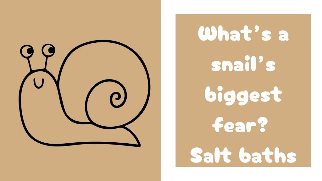 What’s a snail’s biggest fear? 
Salt baths