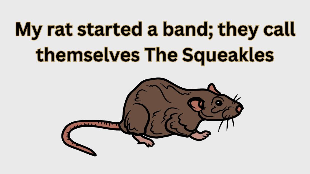 My rat started a band; they call themselves The Squeakles