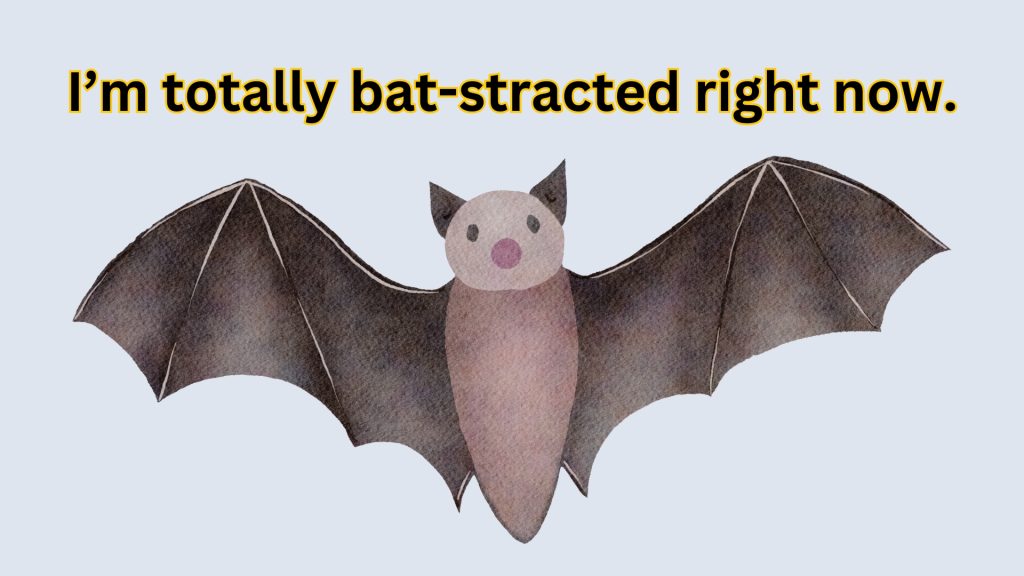 I’m totally bat-stracted right now.