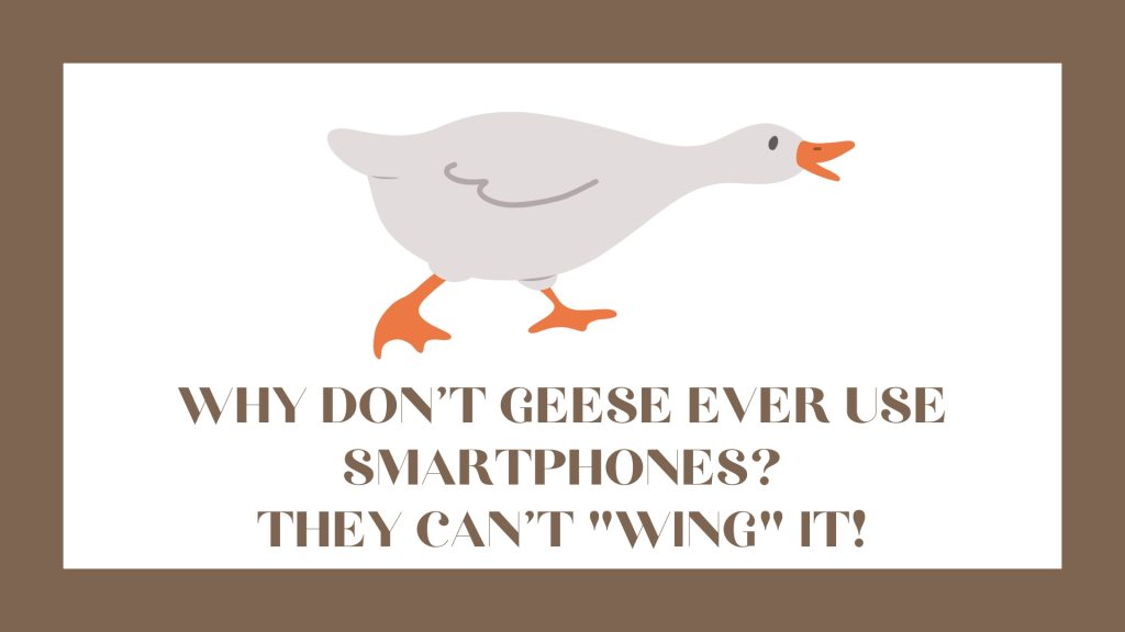 Why don't geese ever use smartphones?
They can't "wing" it!