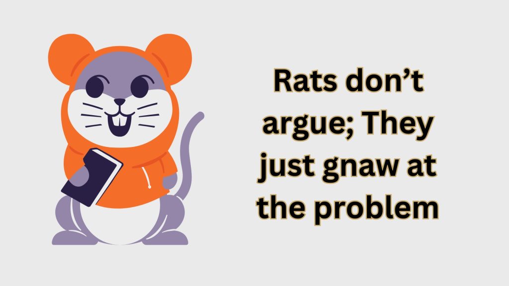 Rats don’t argue; They just gnaw at the problem