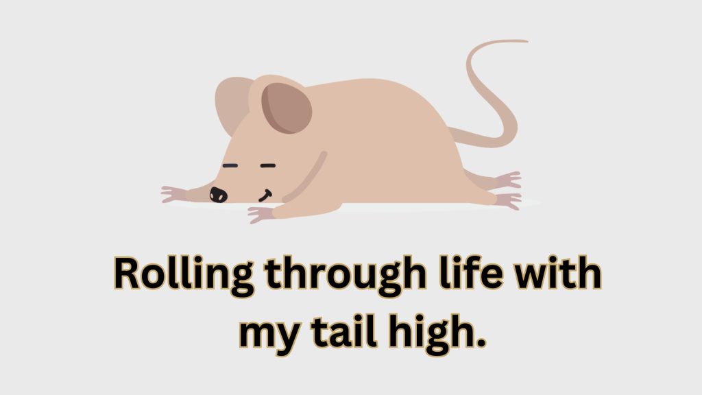 Rolling through life with 
my tail high.