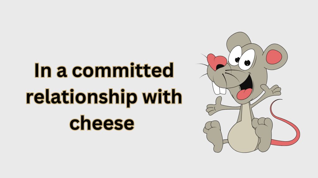 In a committed relationship with cheese 