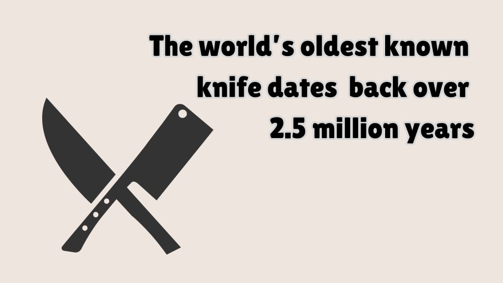 The world’s oldest known 
knife dates  back over 
2.5 million years