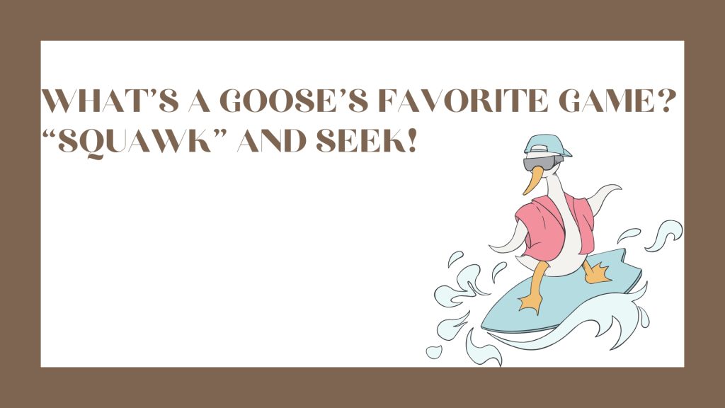 What’s a goose’s favorite game?
“Squawk” and seek!