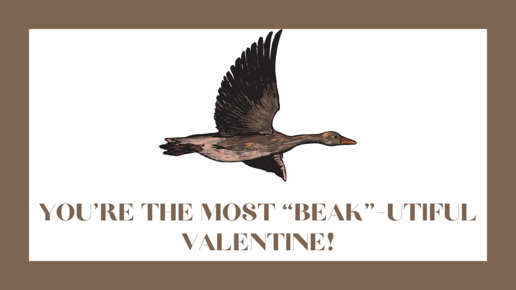 You’re the most “beak”-utiful Valentine!