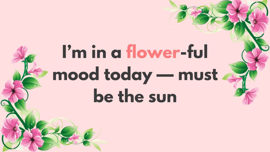 I’m in a flower-ful mood today — must be the sun