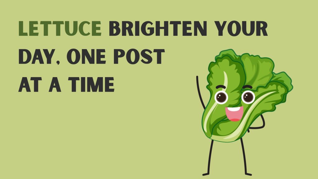 Lettuce brighten your day, one post at a time