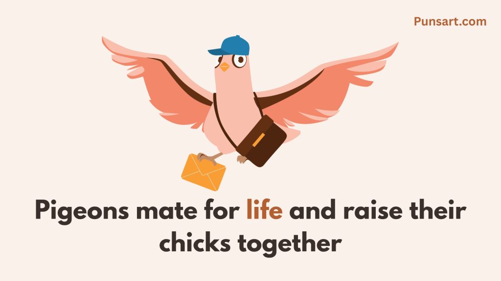 Pigeons mate for life and raise their chicks together