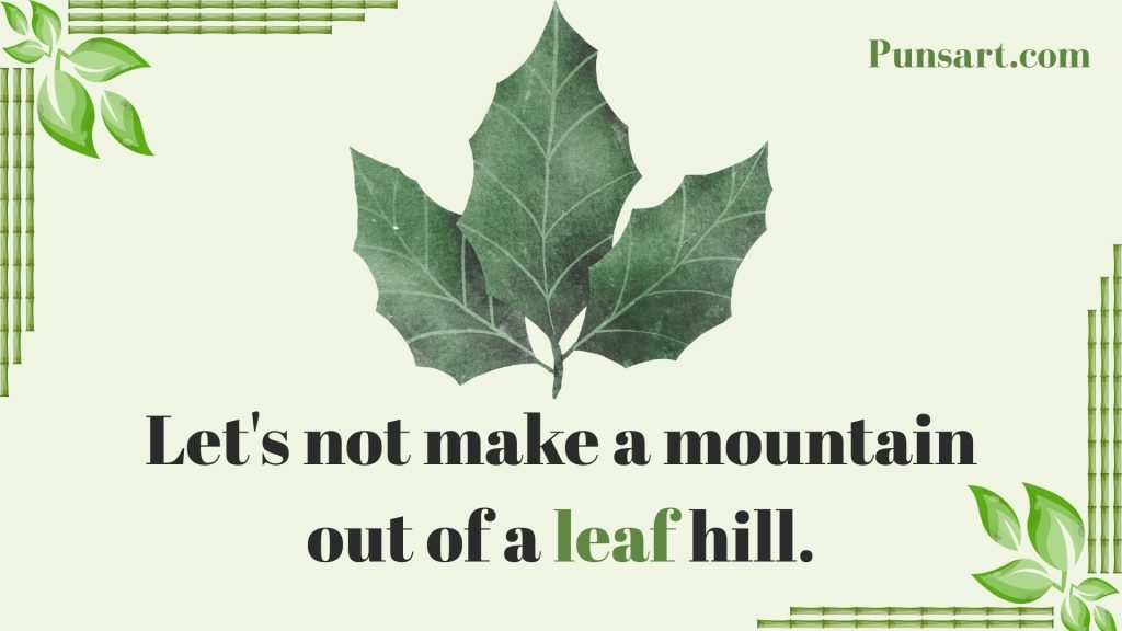 Let's not make a mountain out of a leaf hill.