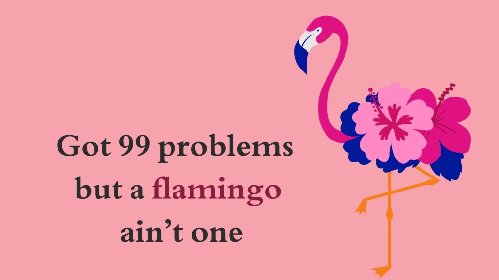 Got 99 problems but a flamingo ain’t one