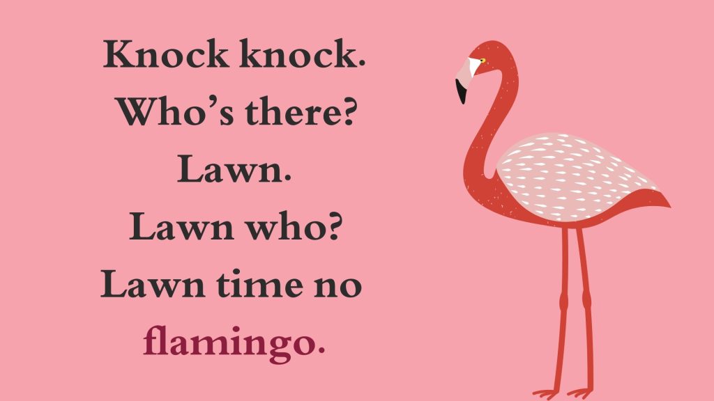 Knock knock. Who’s there? Lawn. Lawn who? Lawn time no flamingo.