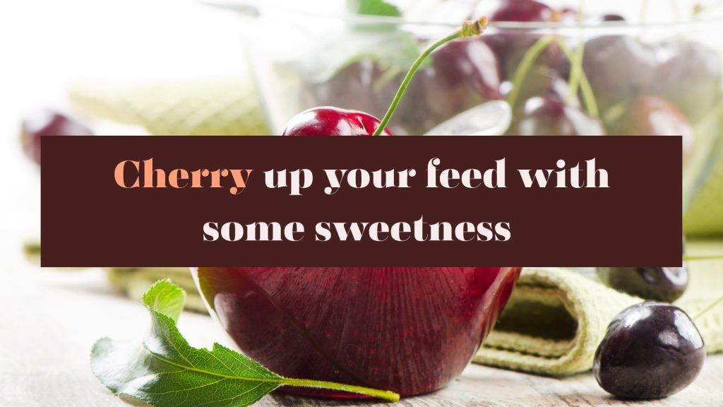Cherry up your feed with some sweetness