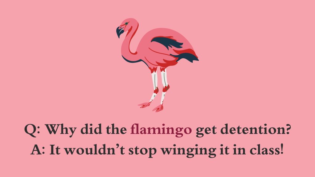 Q: Why did the flamingo get detention? A: It wouldn’t stop winging it in class!