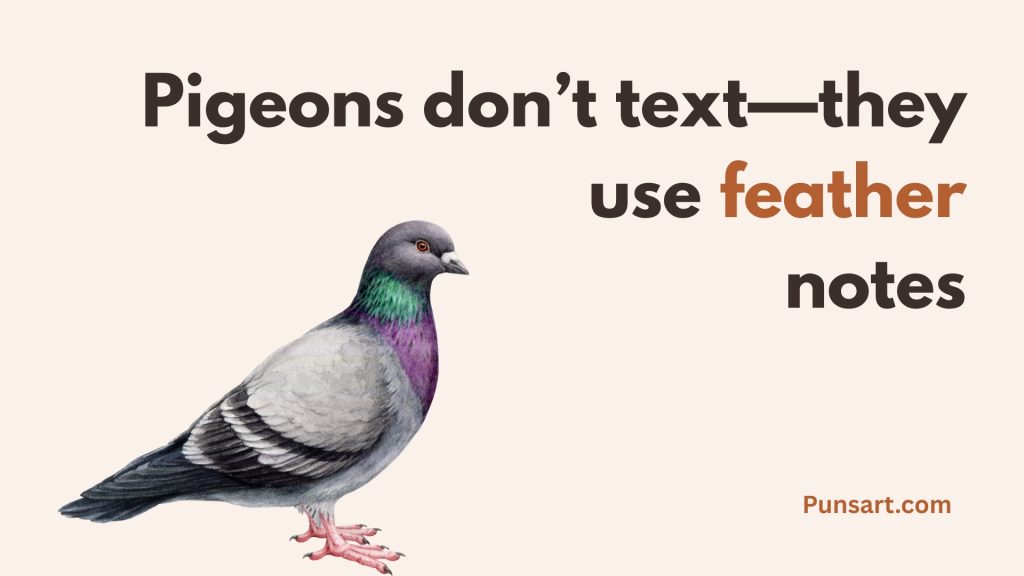 Pigeons don’t text—they use feather notes