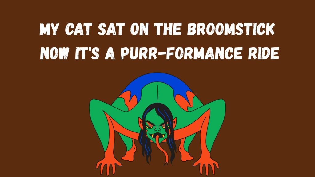 My cat sat on the broomstick Now it's a purr-formance ride
