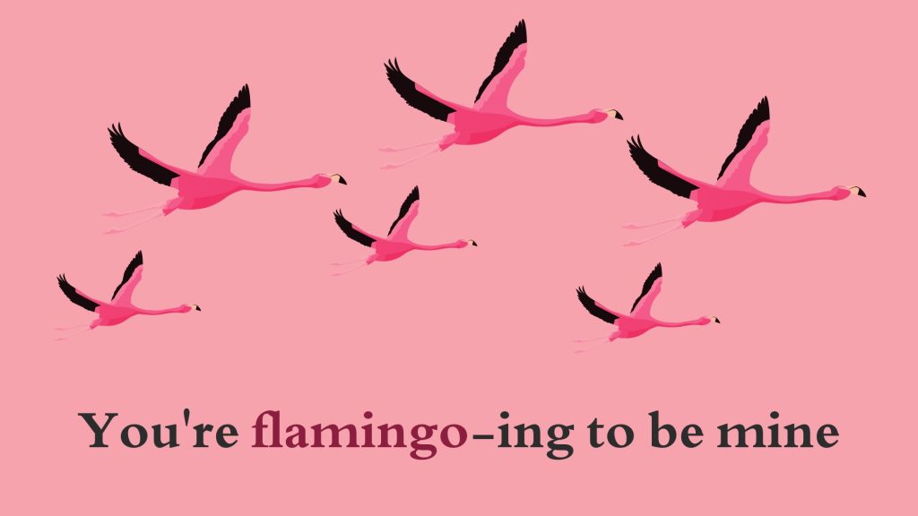 You're flamingo-ing to be mine