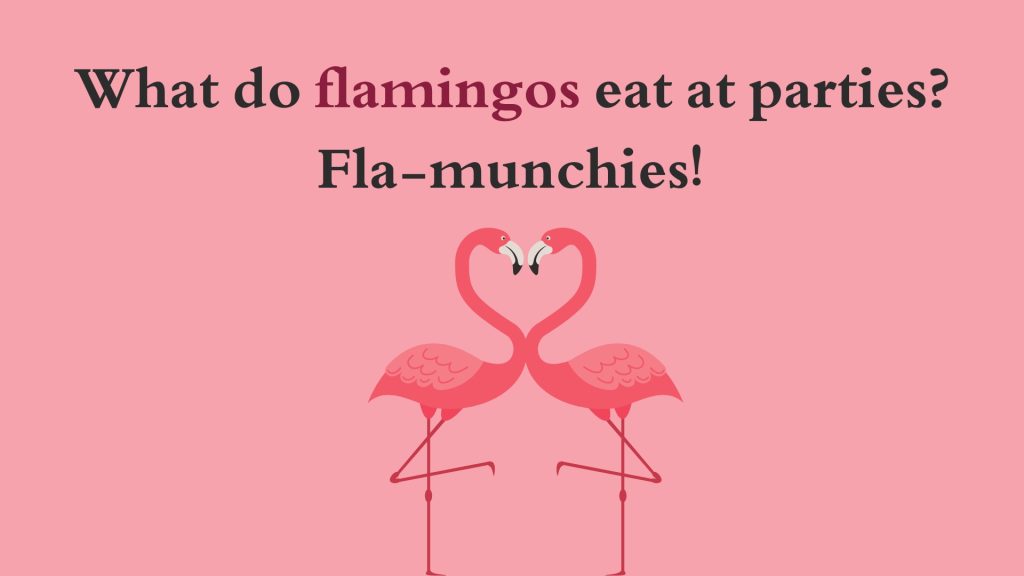 What do flamingos eat at parties? Fla-munchies!