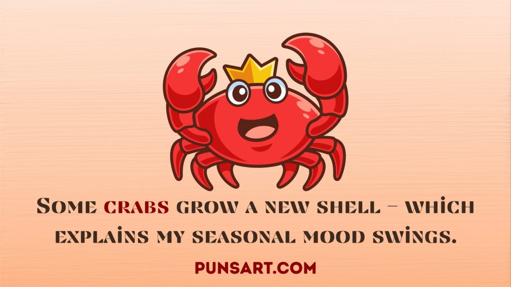 Some crabs grow a new shell — which explains my seasonal mood swings.