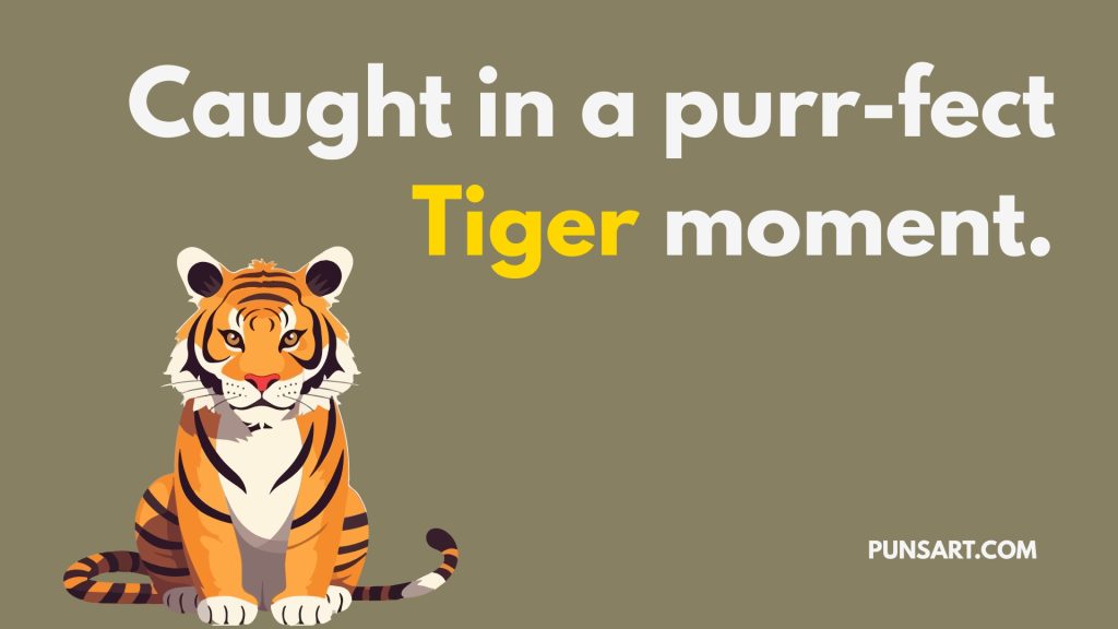 Caught in a purr-fect Tiger moment.