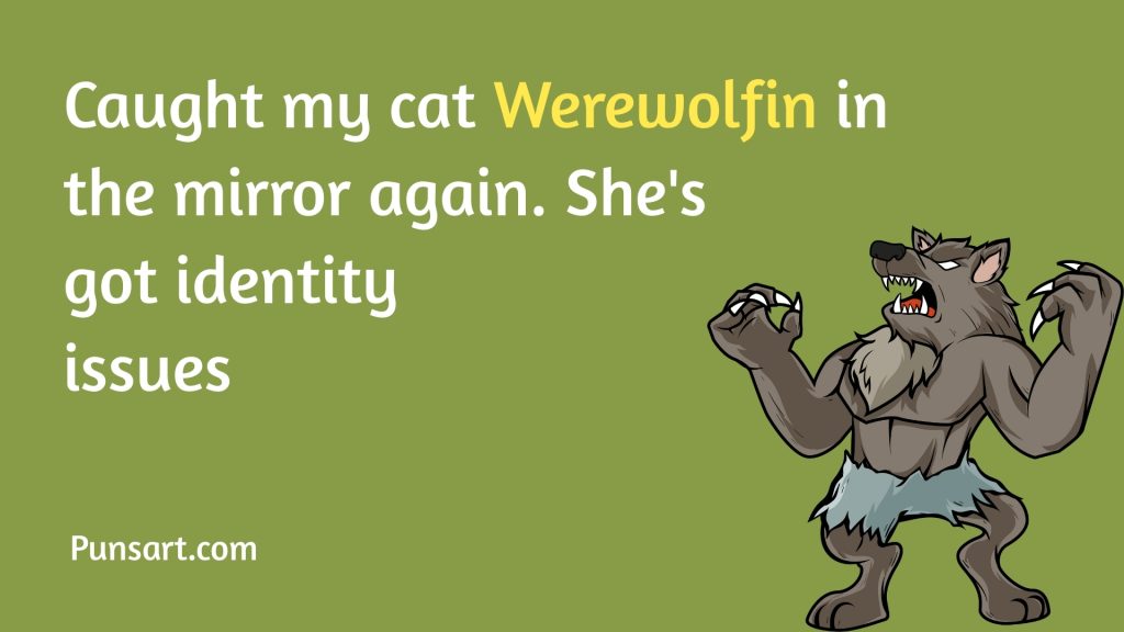 Caught my cat Werewolfin in the mirror again. She's got identity issues