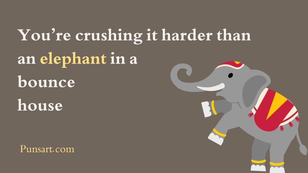 You’re crushing it harder than an elephant in a bounce house