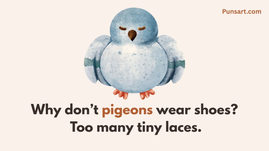 Why don’t pigeons wear shoes? Too many tiny laces.