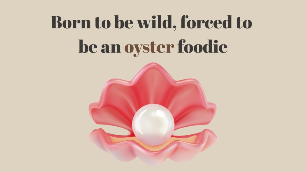 Born to be wild, forced to
be an oyster foodie