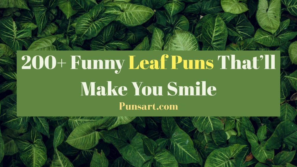 200+ Funny Leaf Puns That’ll Make You Smile