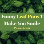 200+ Funny Leaf Puns That’ll Make You Smile