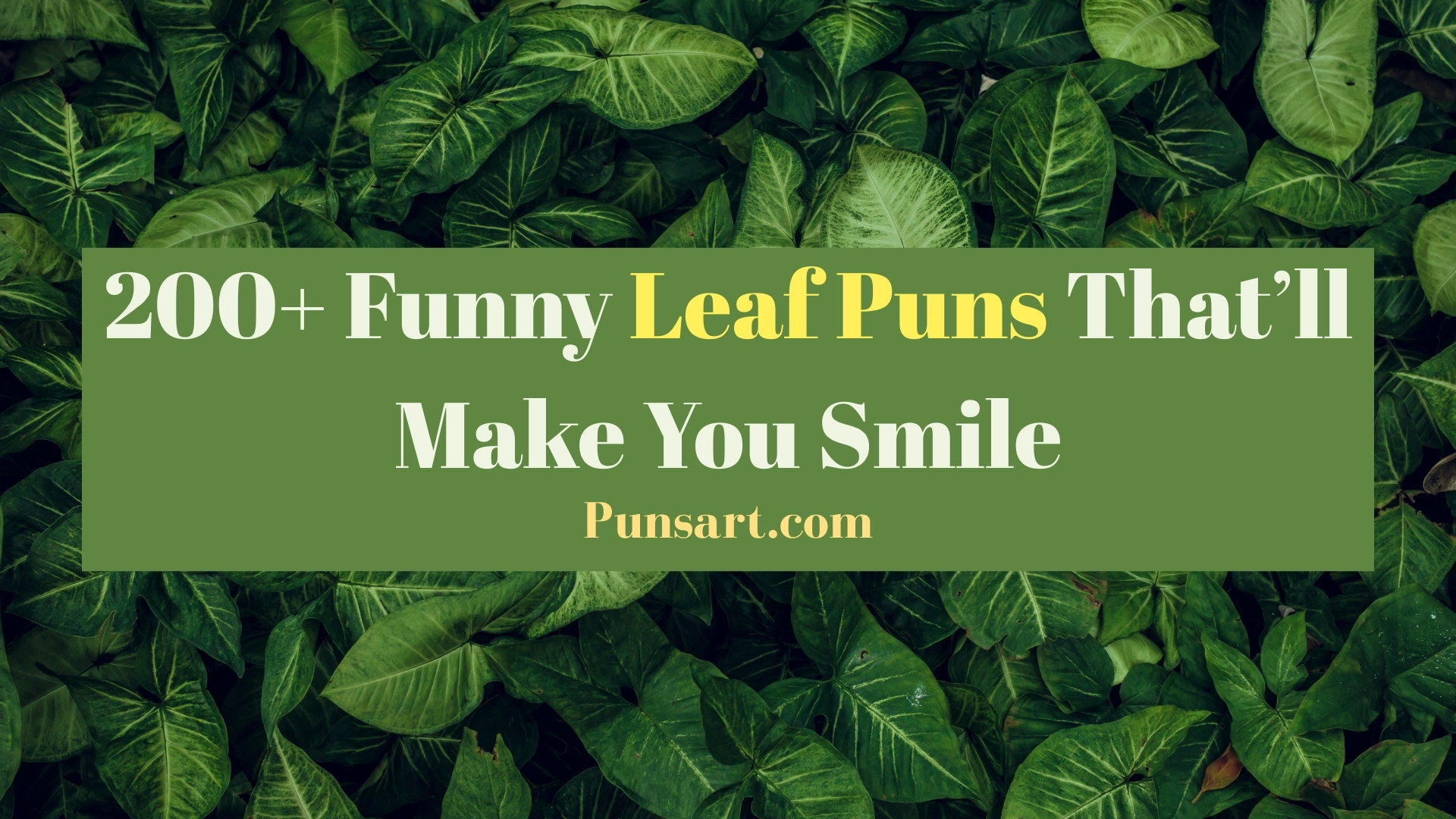 200+ Funny Leaf Puns That’ll Make You Smile