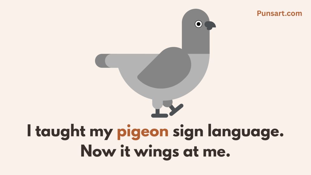 I taught my pigeon sign language. Now it wings at me.