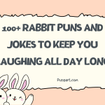 100+ Rabbit Puns and Jokes to Keep You Laughing All Day Long