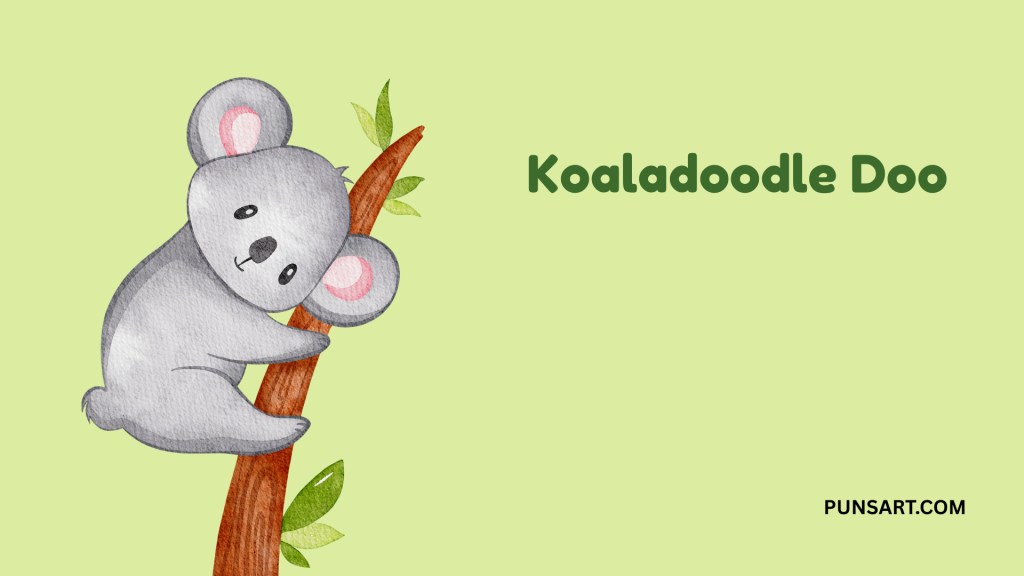 Koaladoodle Doo