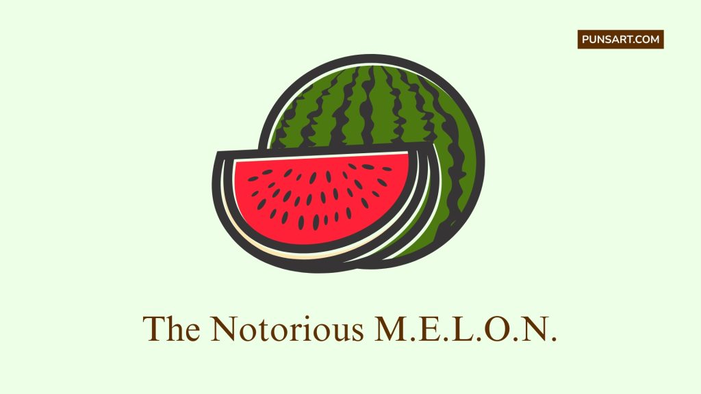 The Notorious M.E.L.O.N.
