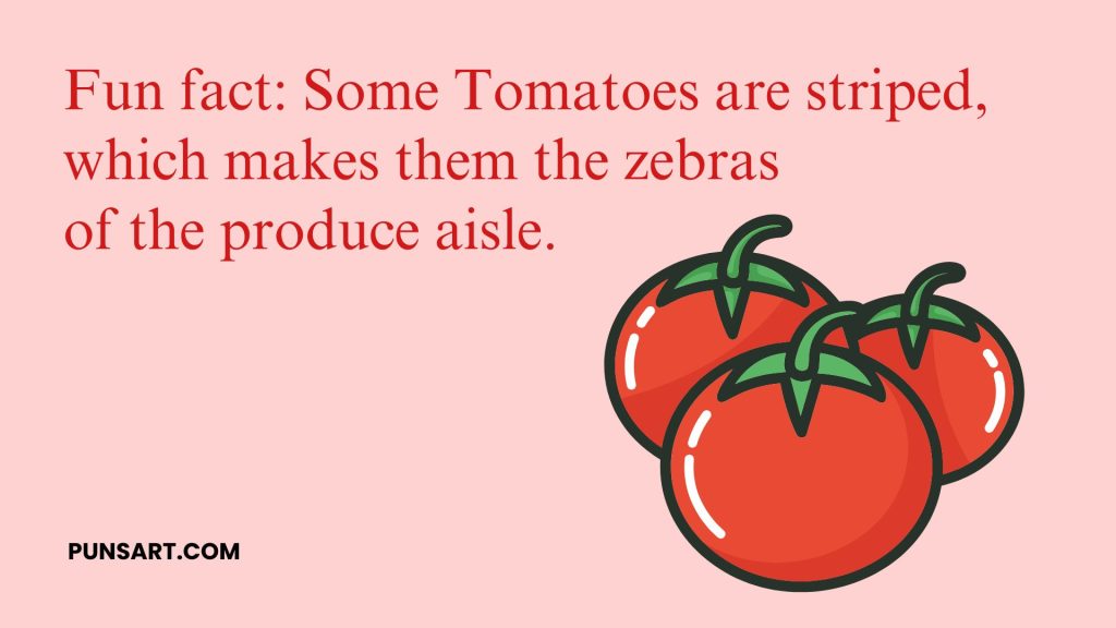 Fun fact: Some Tomatoes are striped, which makes them the zebras 
of the produce aisle.