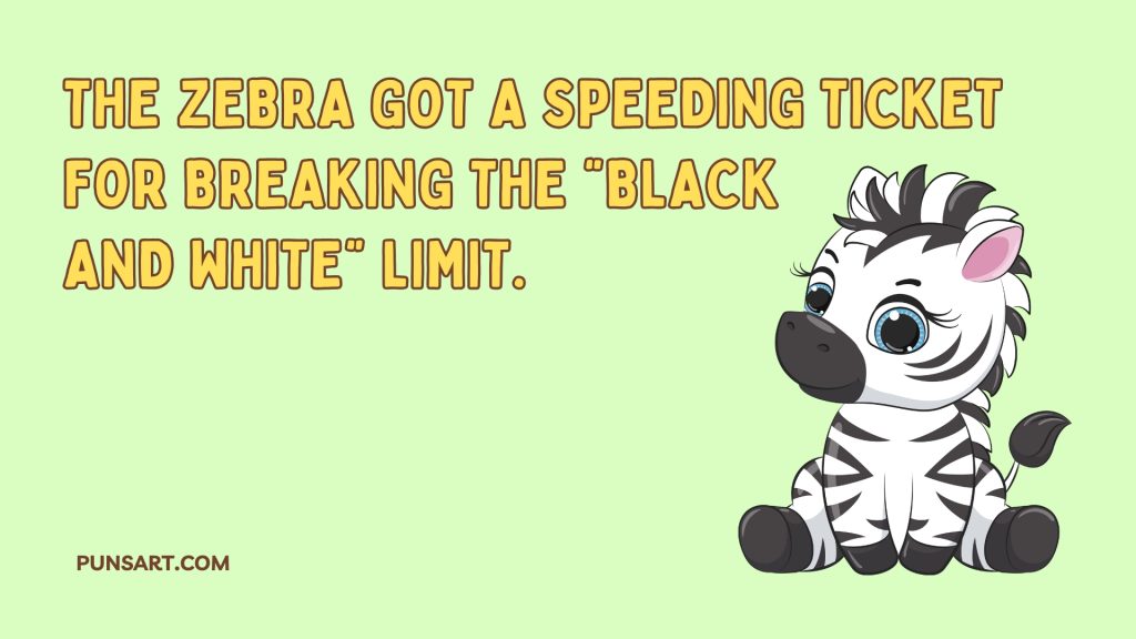 The zebra got a speeding ticket for breaking the “black 
and white” limit.