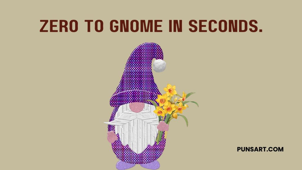 Zero to gnome in seconds.
