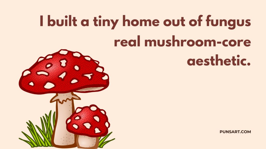 I built a tiny home out of fungus real mushroom-core
aesthetic.