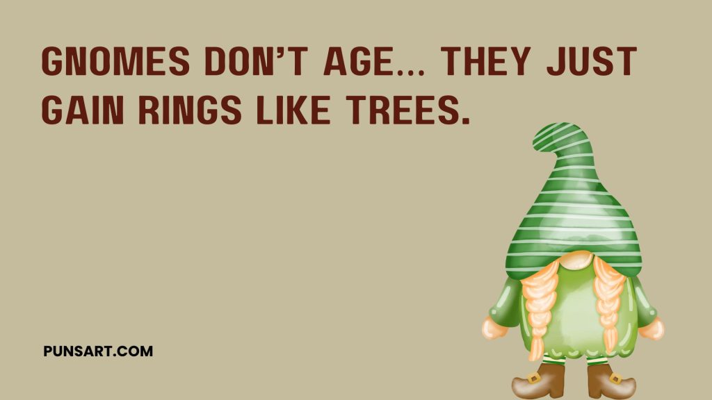 Gnomes don’t age… they just gain rings like trees.