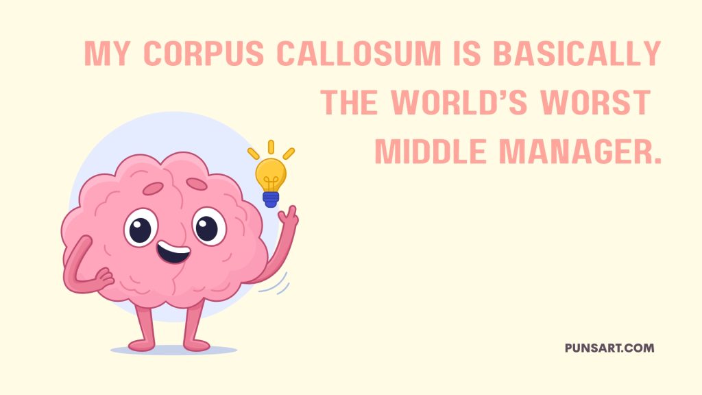 My corpus callosum is basically the world’s worst
middle manager.
