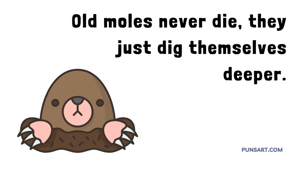 Old moles never die, they
just dig themselves
deeper.