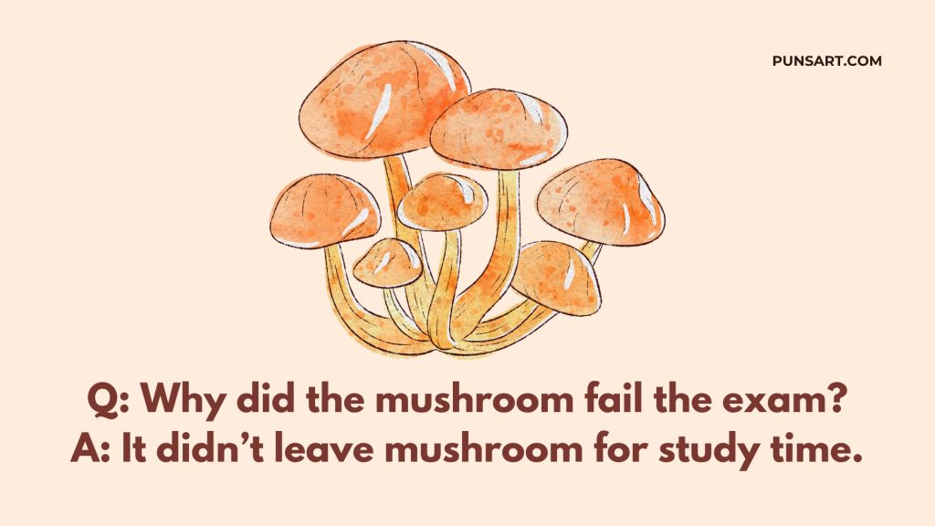 Q: Why did the mushroom fail the exam?
A: It didn’t leave mushroom for study time.