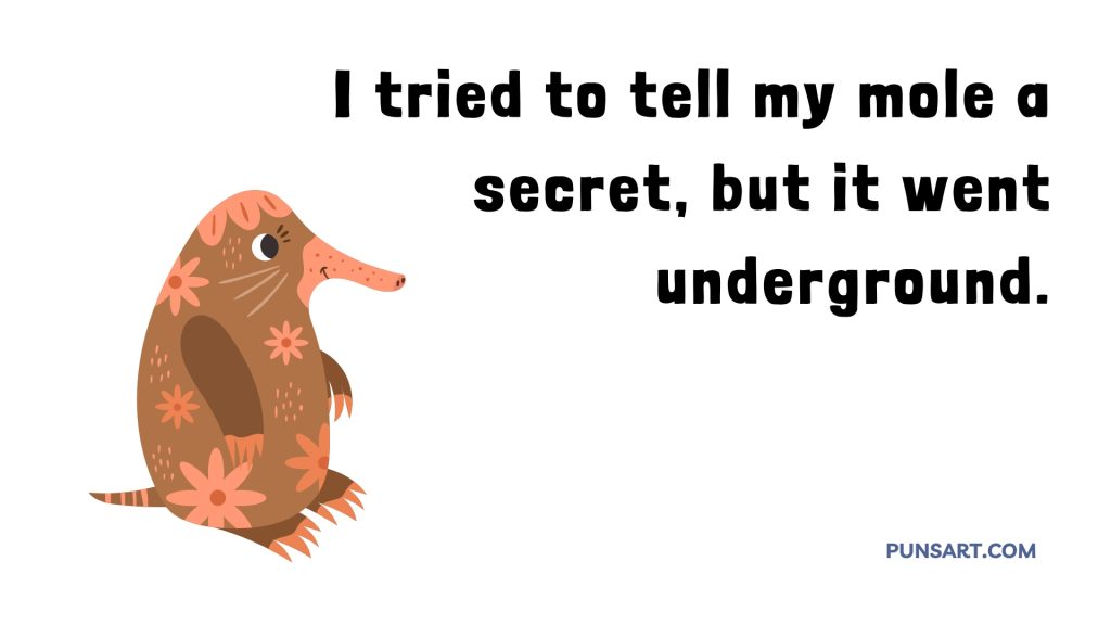 I tried to tell my mole a
secret, but it went
underground.