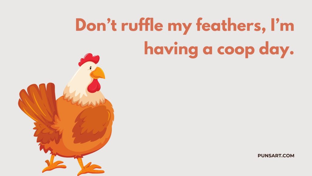 Don’t ruffle my feathers, I’m having a coop day.
